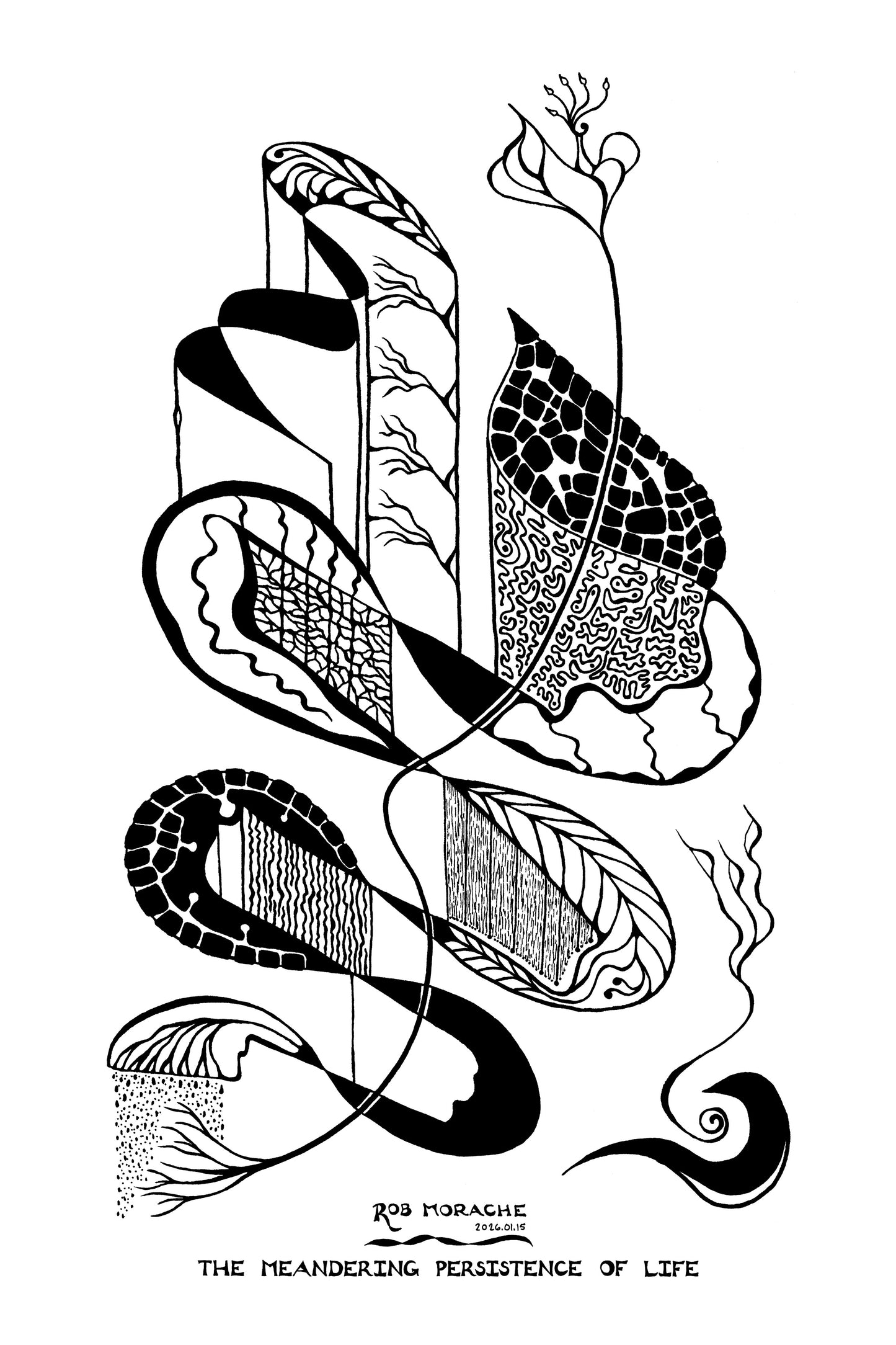 "The Meandering Persistence of Life' - Ink Drawing 2026.01.15