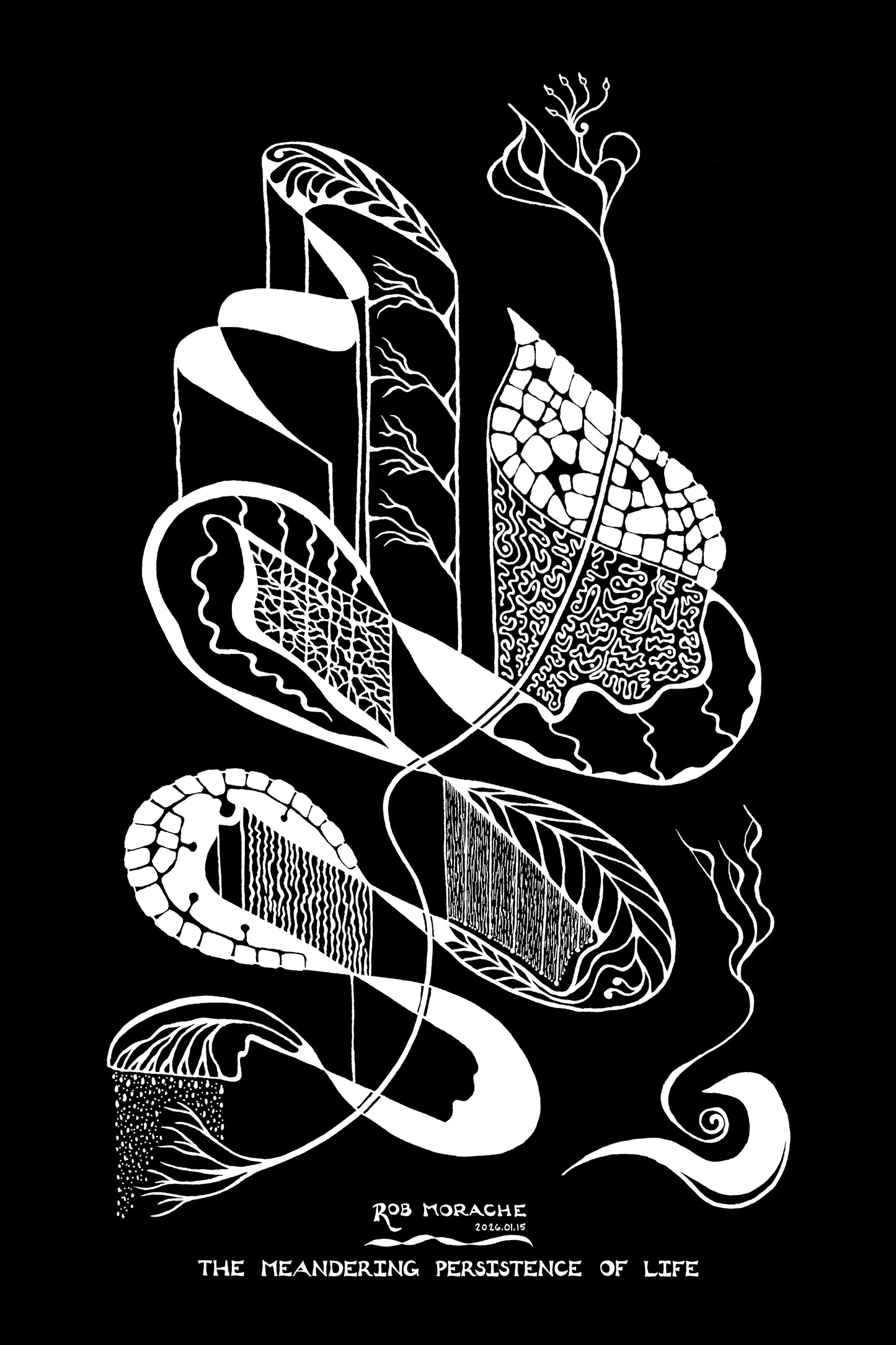 "The Meandering Persistence of Life" - Ink Drawing 2026.01.15 black