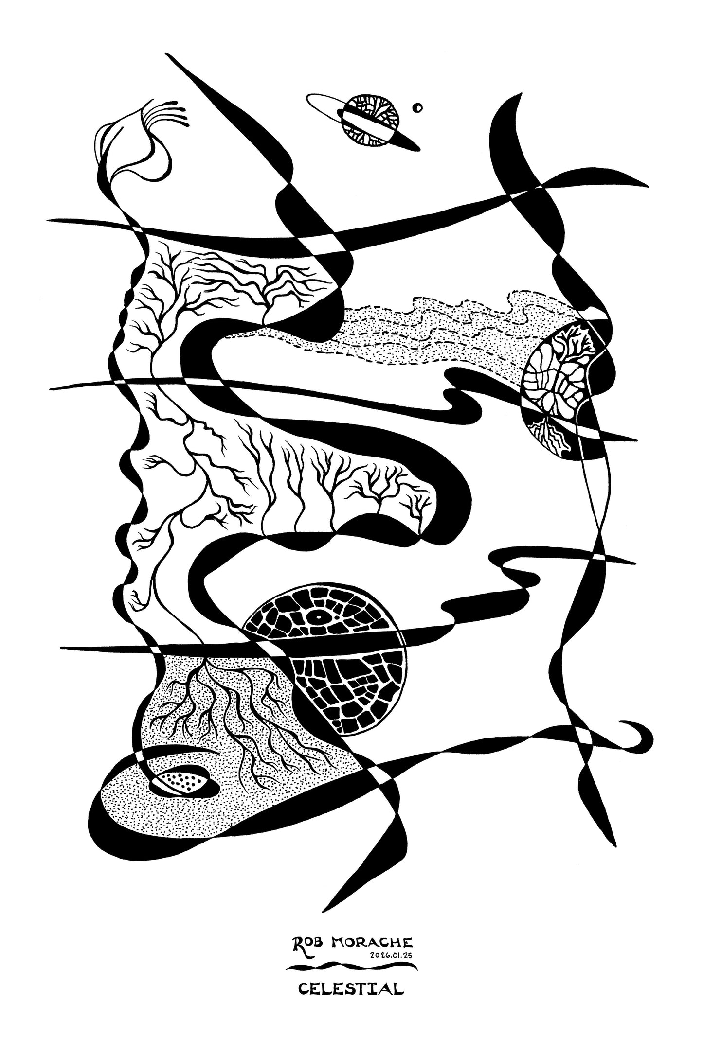 "Celestial" - Ink Drawing 2026.01.25